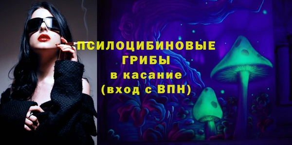 СК Аркадак