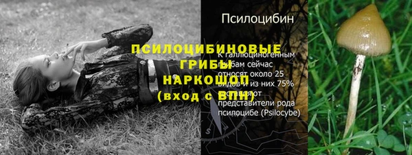 бошки Армянск
