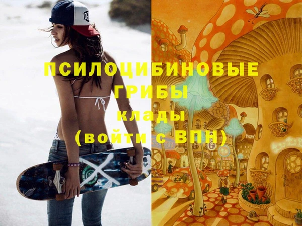 СК Аркадак